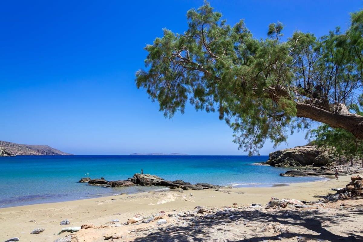 Sitia Panoramic Penthouse - Close To Sandy Beach - Private Parking エクステリア 写真