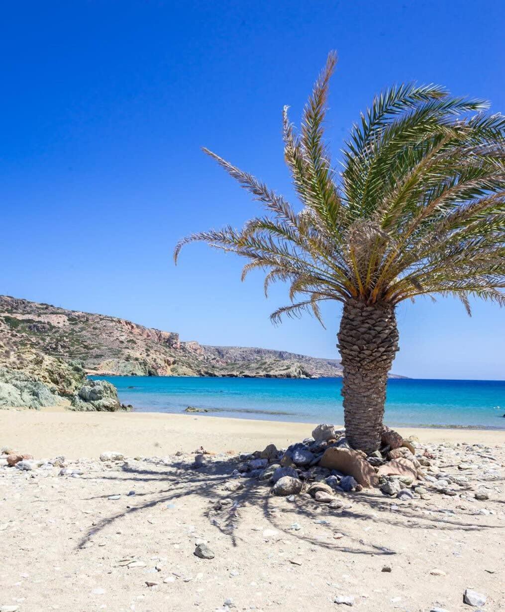 Sitia Panoramic Penthouse - Close To Sandy Beach - Private Parking エクステリア 写真